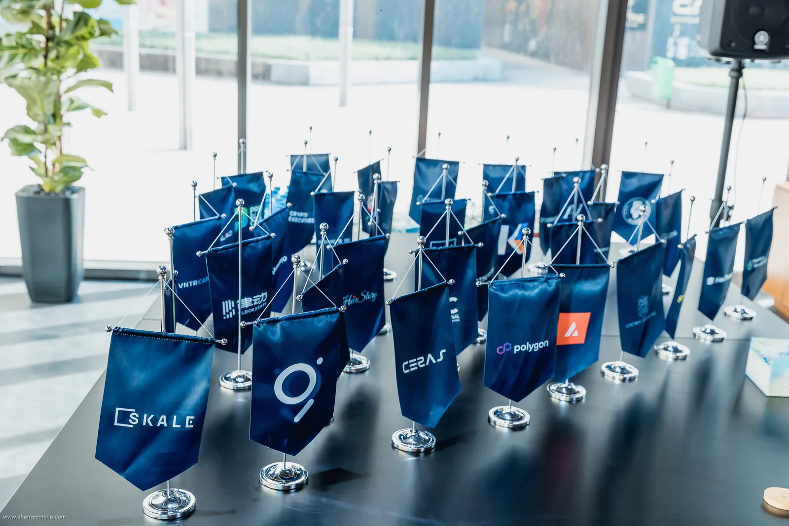 Table flags for SKALE, The Graph, Ceras, Polygon, Avalanche and other partners